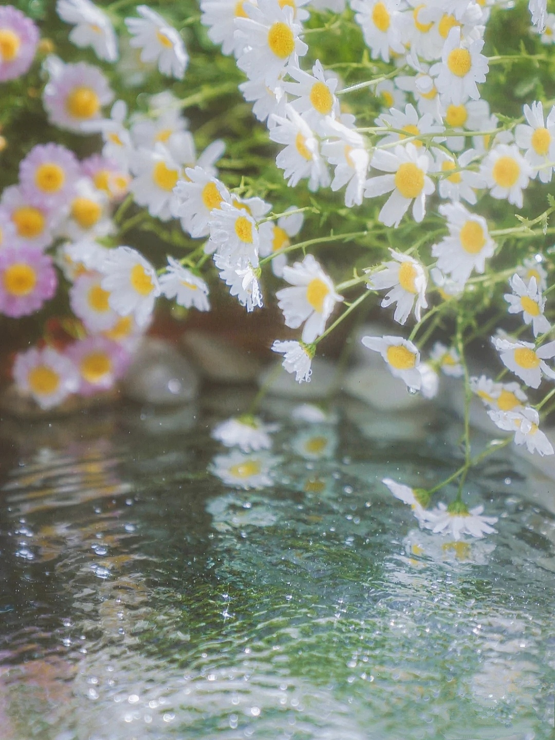 用镜子拍摄仙境水面