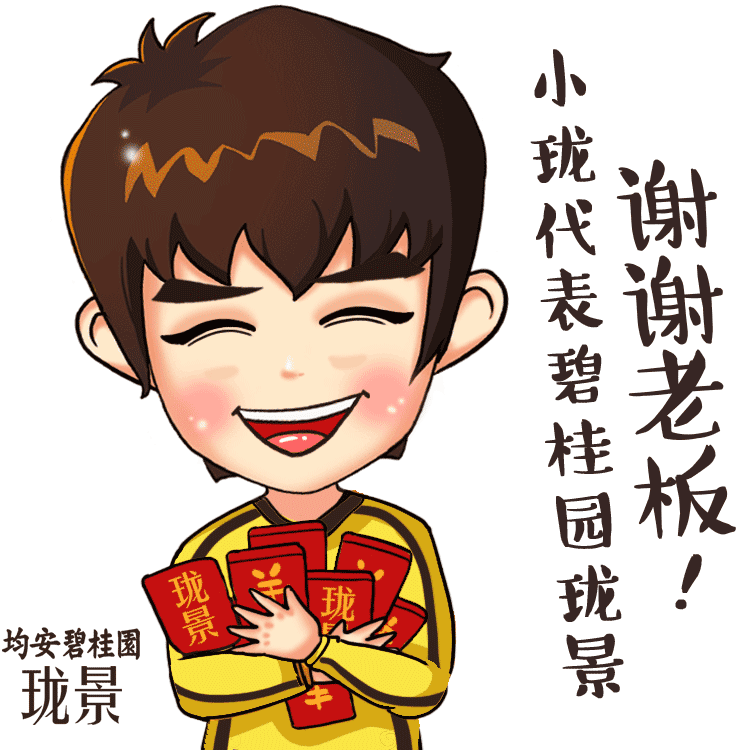 碧桂园 珑景 小珑