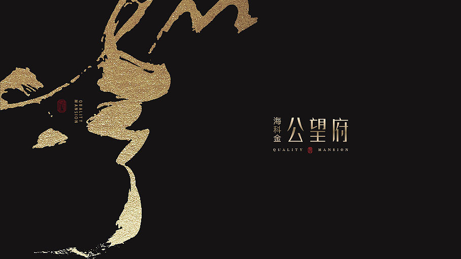 提案飞机稿