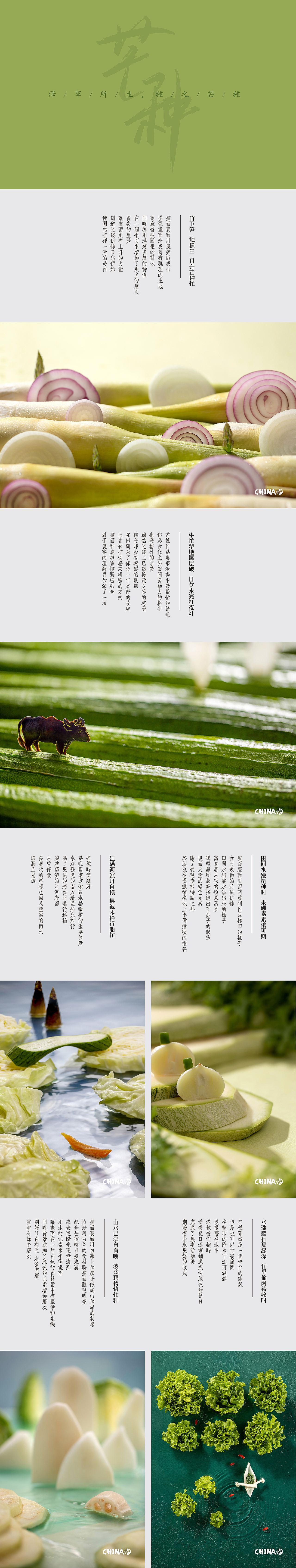 食摄马也·CHINA驰系列 | 廿四节气-芒种（图ZMjU3MzYzODYw） - 美食摄影 - 站酷设计师食摄马也MYFOTO原创素材 - 站酷ZCOOL