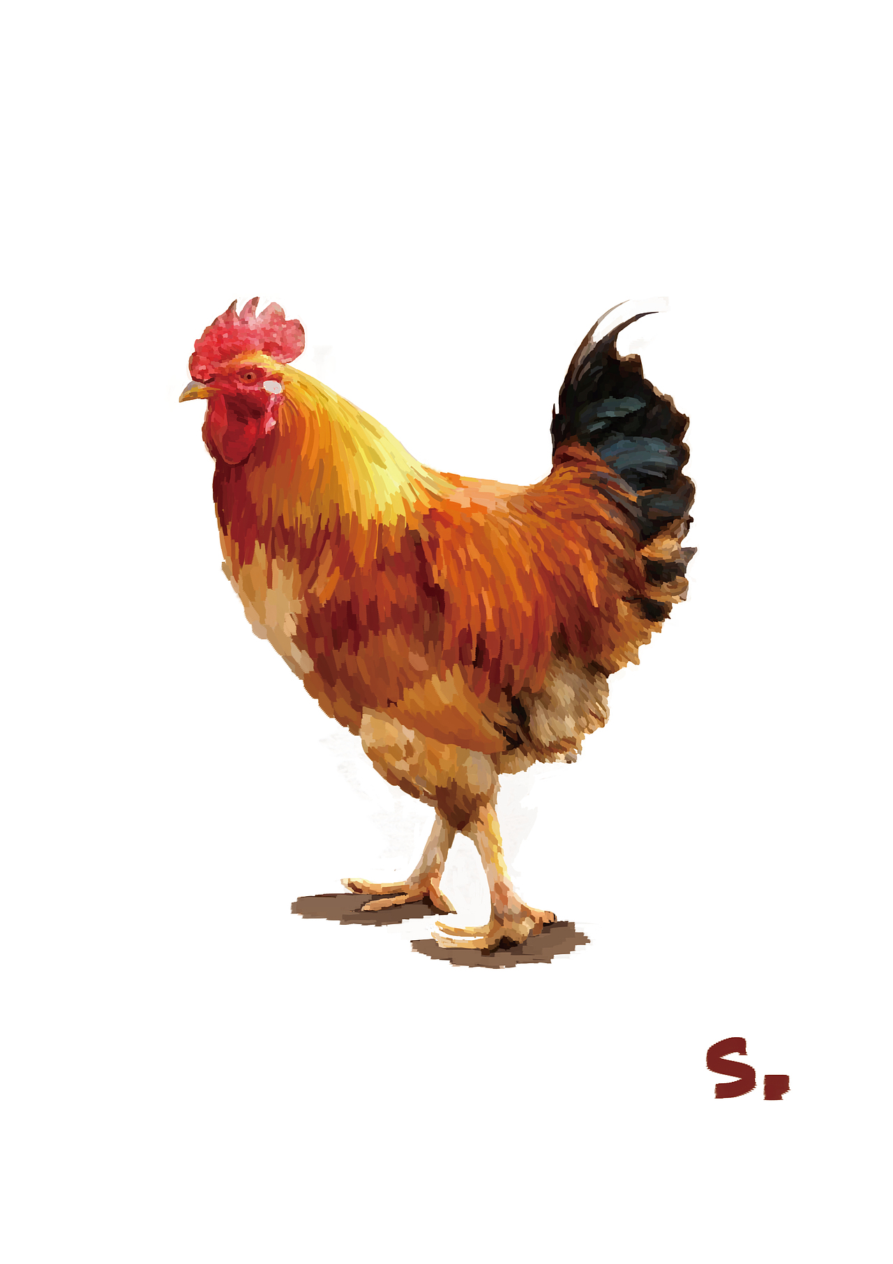 以前帮师兄做的外包~大概是给儿童书做图解用的吧2333（图ZOTc5NTE5NzI=） - 艺术插画 - 站酷设计师弶莜哒丶原创素材 - 站酷ZCOOL