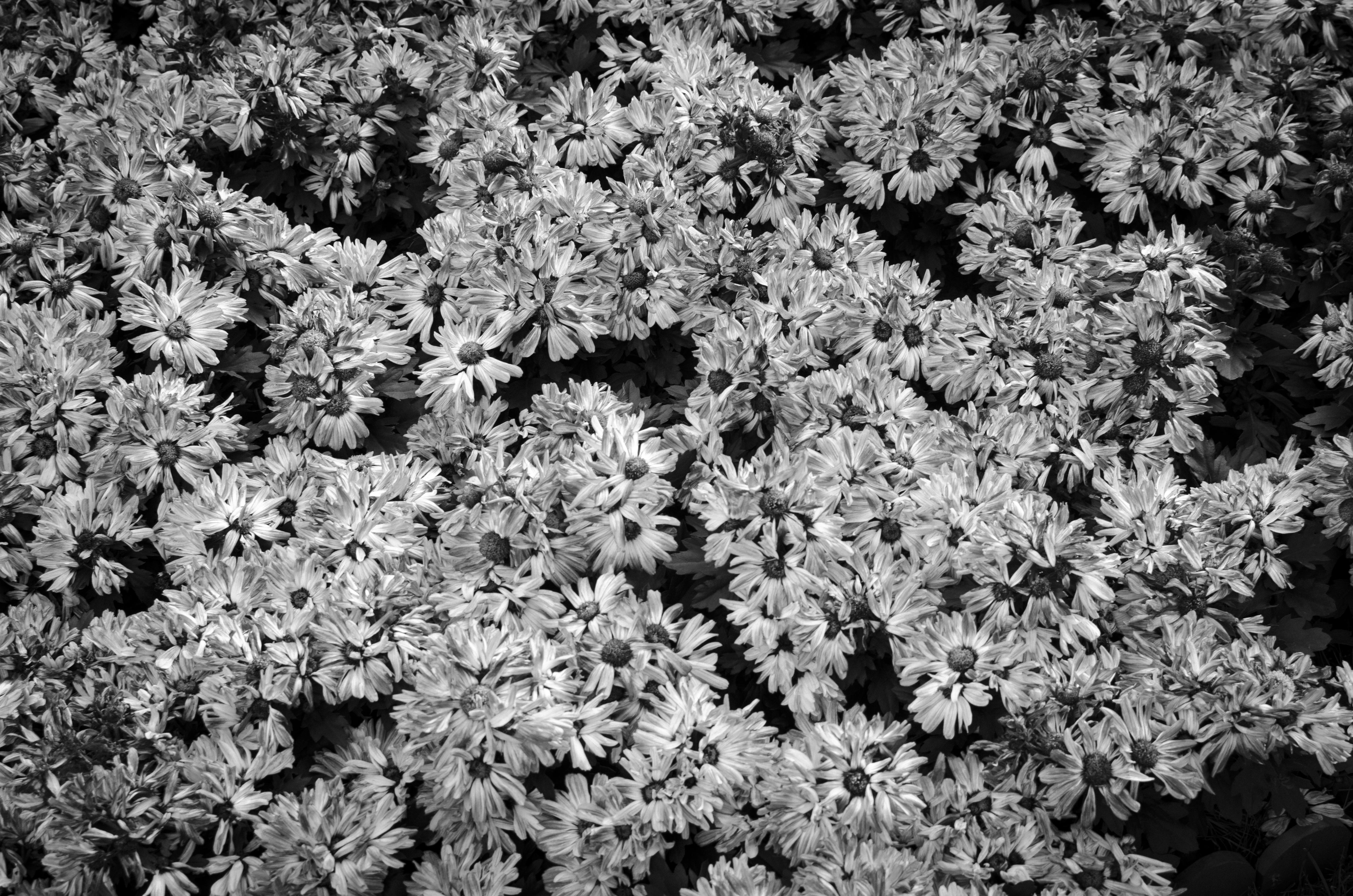 所见视觉研究所的个人主页（封面预览） - 主页封面设置 - 站酷设计师所见视觉研究所原创素材 - 站酷ZCOOL