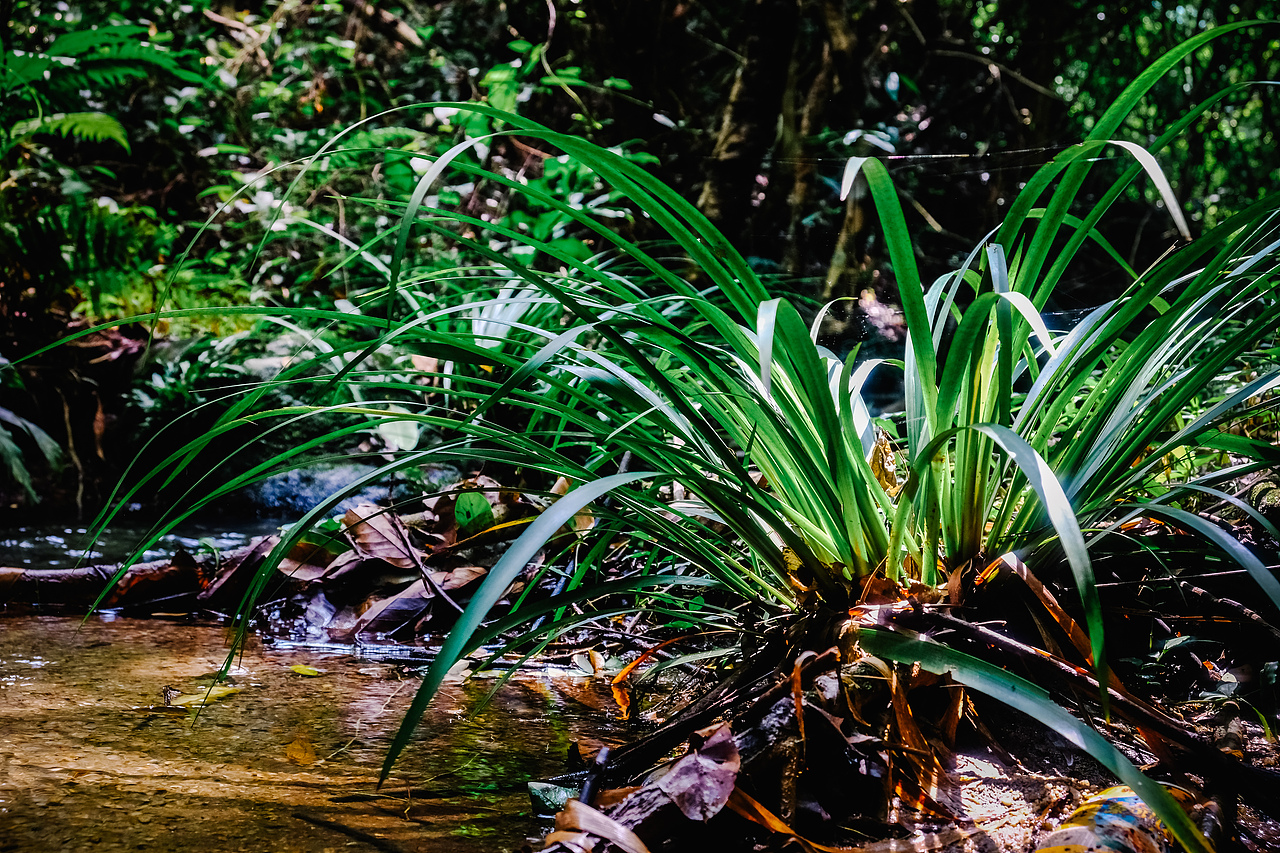 六西的小瀑布（图ZMTA5MDcxNTQw） - 风光摄影 - 站酷设计师西早映画原创素材 - 站酷ZCOOL