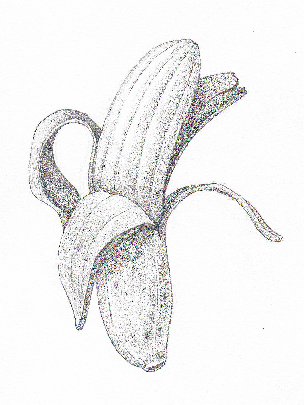 雪兔酱的超简单素描