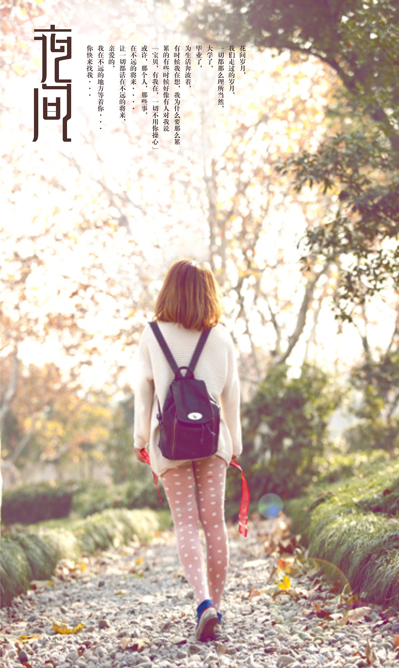 最近的一些字体