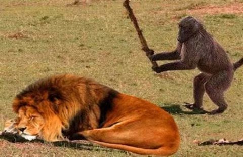 三個啦的個人主頁（背景預(yù)覽） - 主頁背景設(shè)置 - 站酷設(shè)計師三個啦原創(chuàng)素材 - 站酷ZCOOL