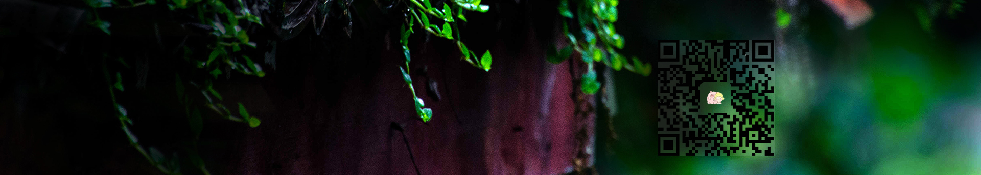 木兮可樂的個人主頁（封面預(yù)覽） - 主頁封面設(shè)置 - 站酷設(shè)計師木兮可樂原創(chuàng)素材 - 站酷ZCOOL