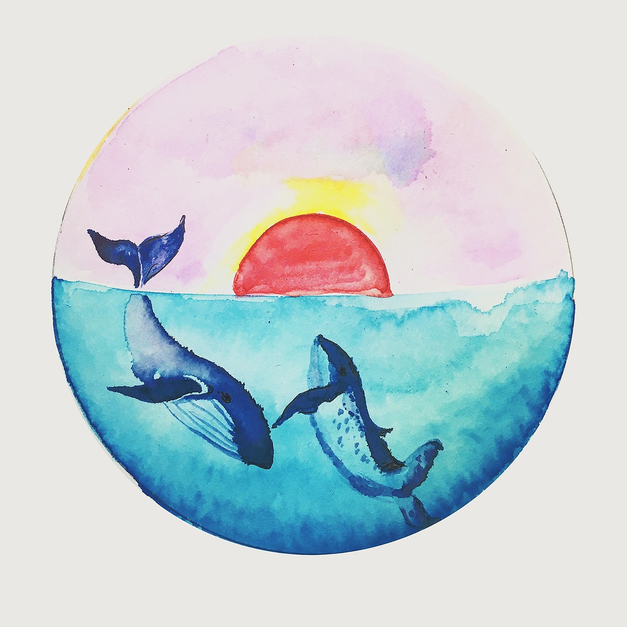 鲸鱼的幻想世界第二弹。