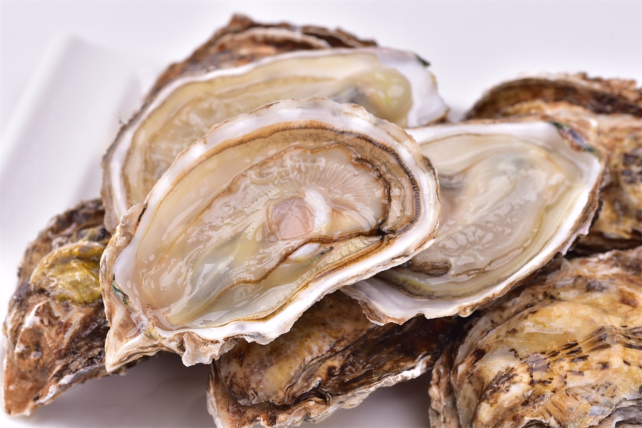 活海鲜 海蛎子章鱼