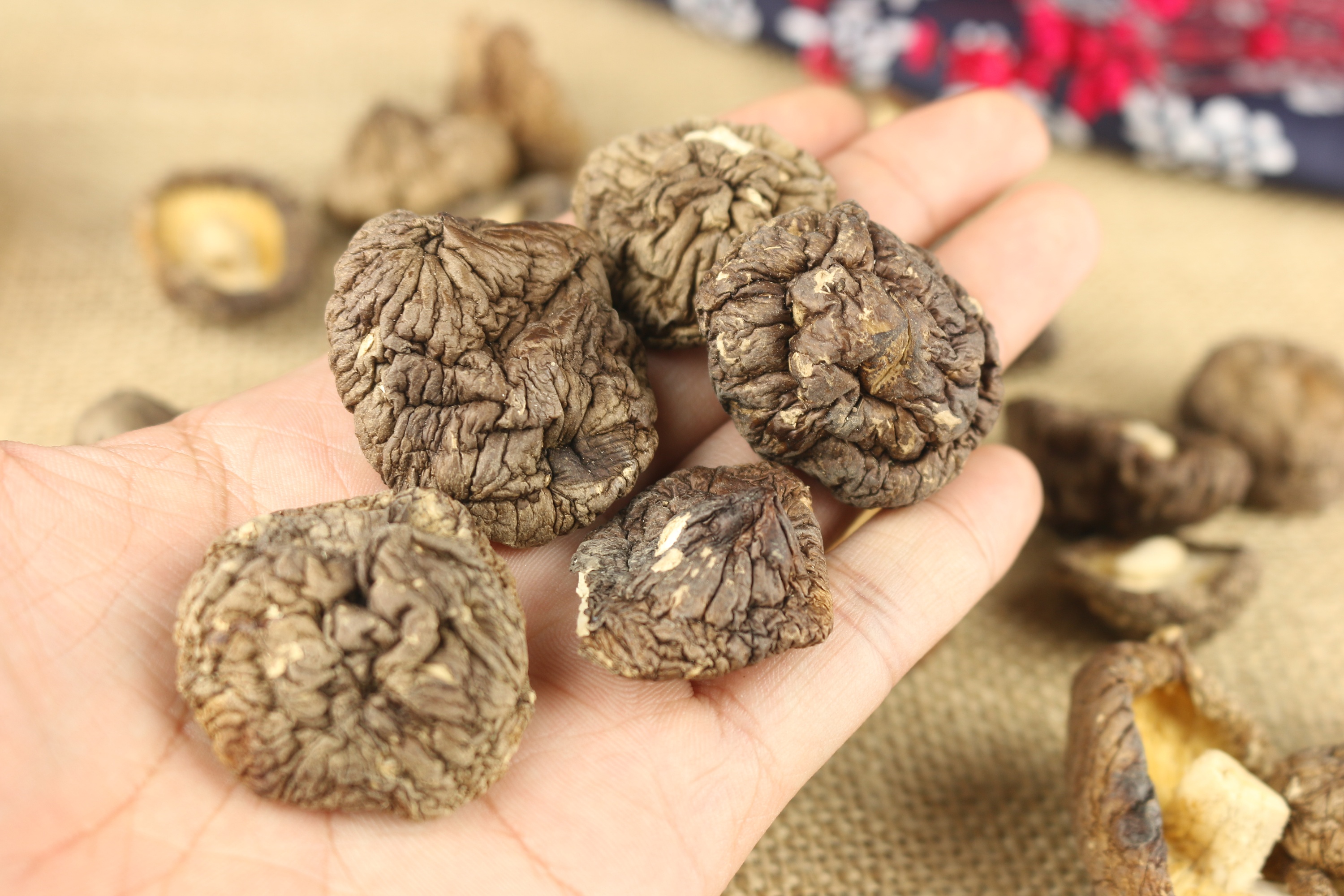 食品拍摄案例 山珍干货 香菇拍摄