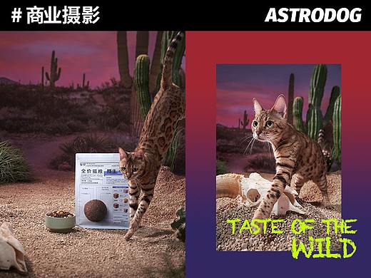 宠物商业摄影-安贝原生全价猫粮/狗粮