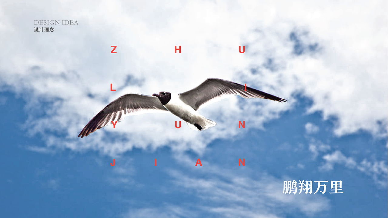 筑里云涧 燕窝品牌 中国风logo VI  山水 包装