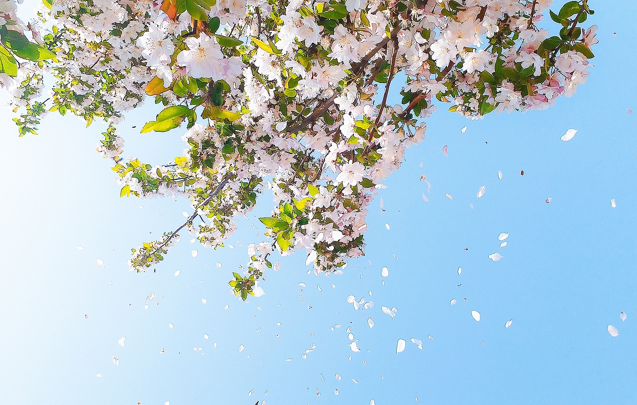 青岛（图ZMTIzMzYyNjEy） - 风光摄影 - 站酷设计师湖西路十六号原创素材 - 站酷ZCOOL