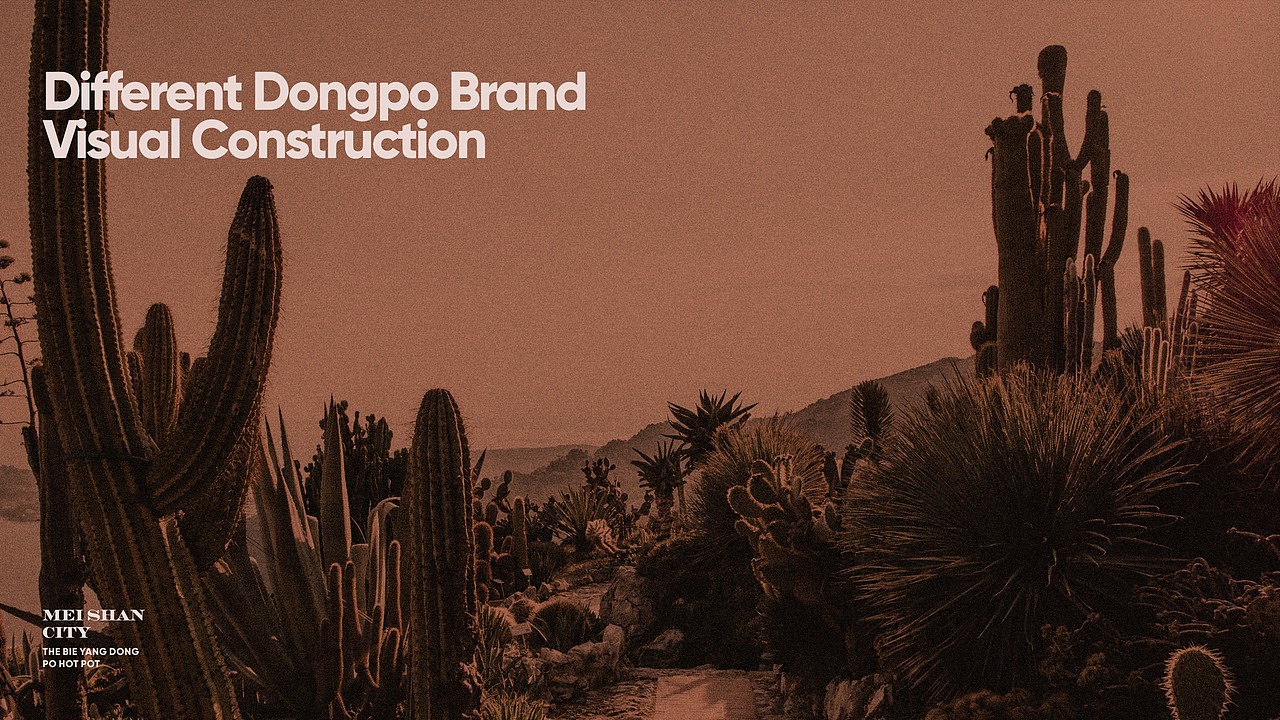 DIFFERENT / 别样火锅品牌