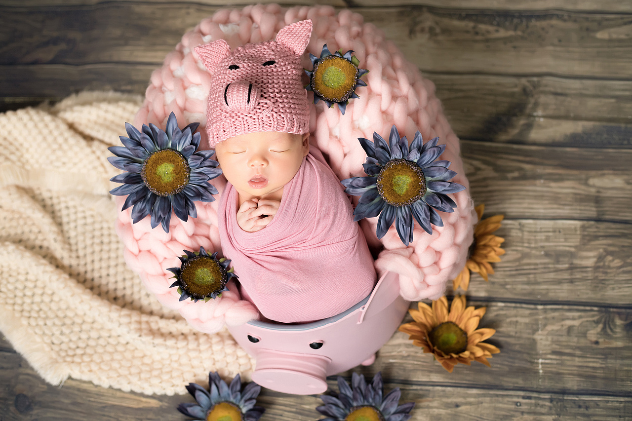 儿童摄影-🐷小猪乔治（图ZMjE3Njk2Mjgw） - 人像摄影 - 站酷设计师林岸峥原创素材 - 站酷ZCOOL