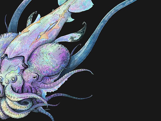 海洋生物 法克鱿