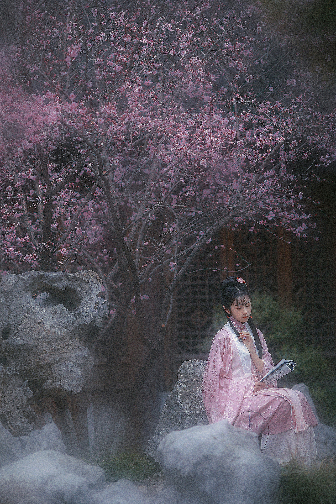 黛玉葬花丨汉服写真丨