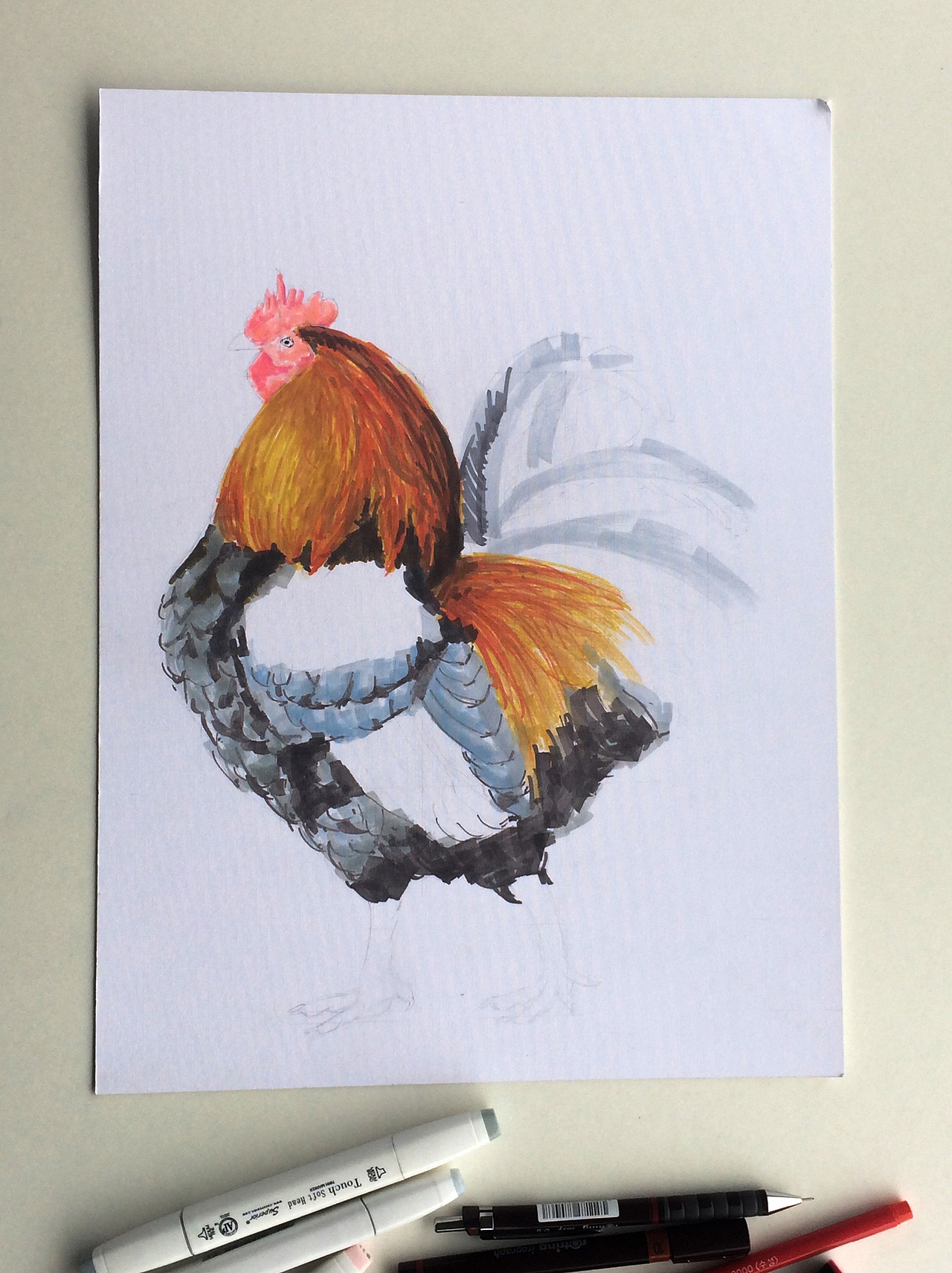 石思庆马克笔速涂大公鸡