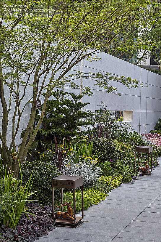 独尊景观摄影:山水园林,曲径通幽