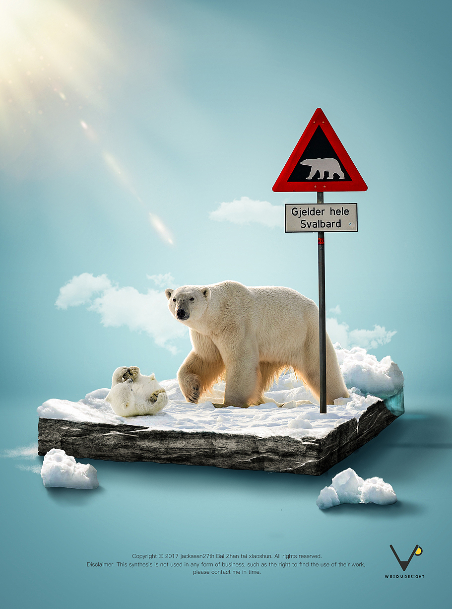 北极熊-小景合成