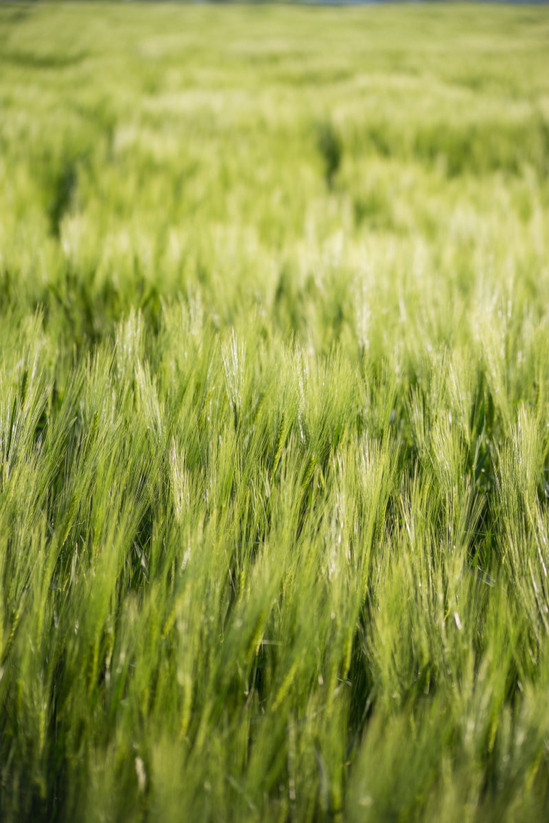 李李香香的個(gè)人主頁(yè)（封面預(yù)覽） - 主頁(yè)封面設(shè)置 - 站酷設(shè)計(jì)師李李香香原創(chuàng)素材 - 站酷ZCOOL