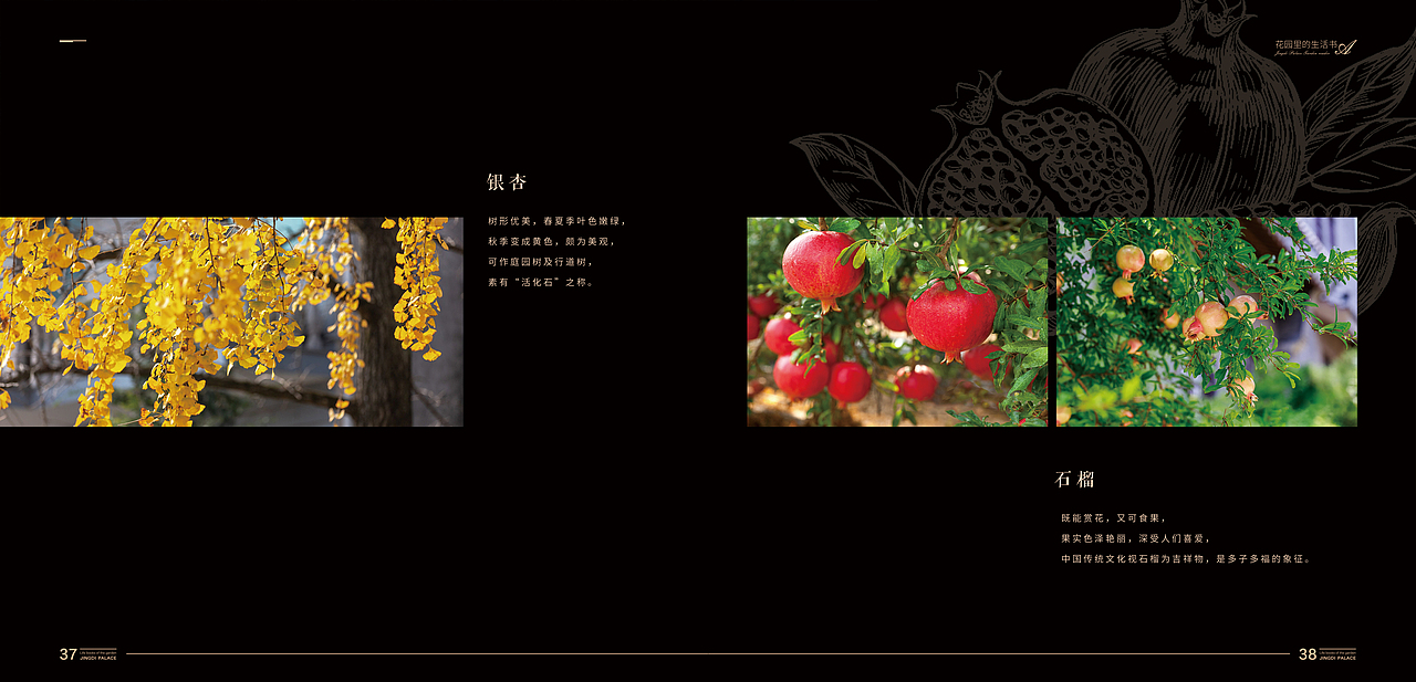 地产景观花园手册