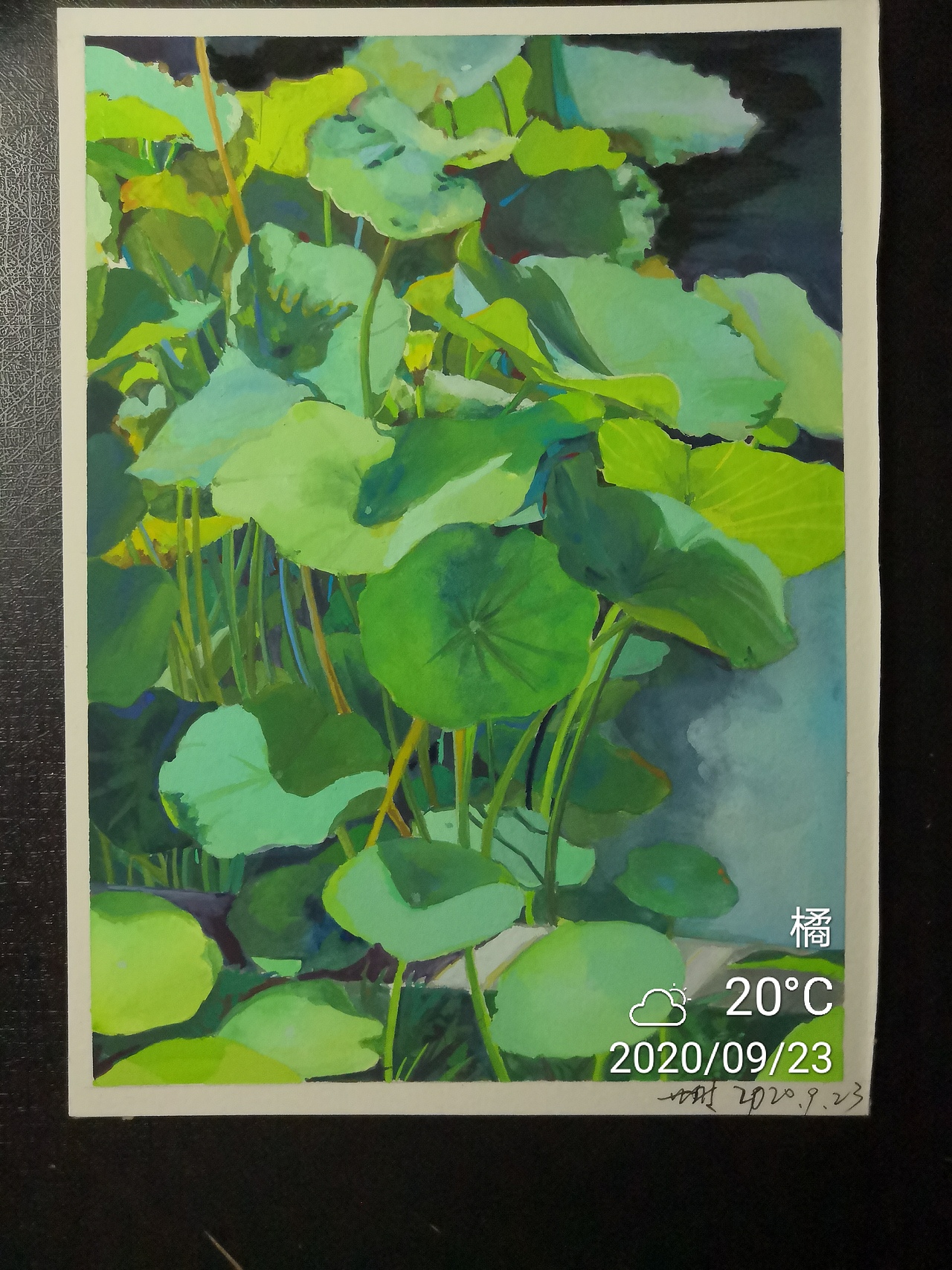 nicker不透明水彩