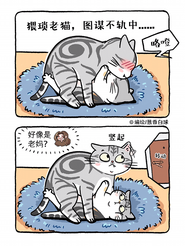 葱香小剧场2（图ZMzMxNzAxMTMy） - 短篇/格漫 - 站酷设计师葱香白球原创素材 - 站酷ZCOOL