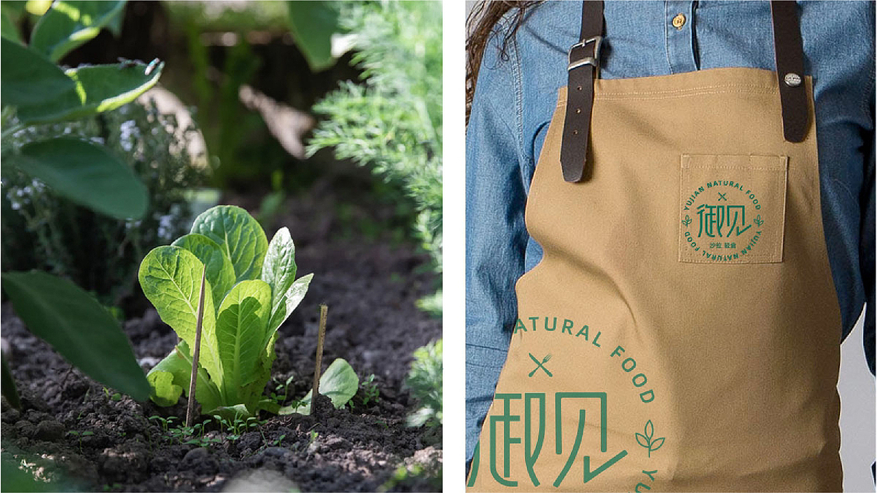 【瑞咖/品牌全案】御见 | 让身材更完美 体质更健康