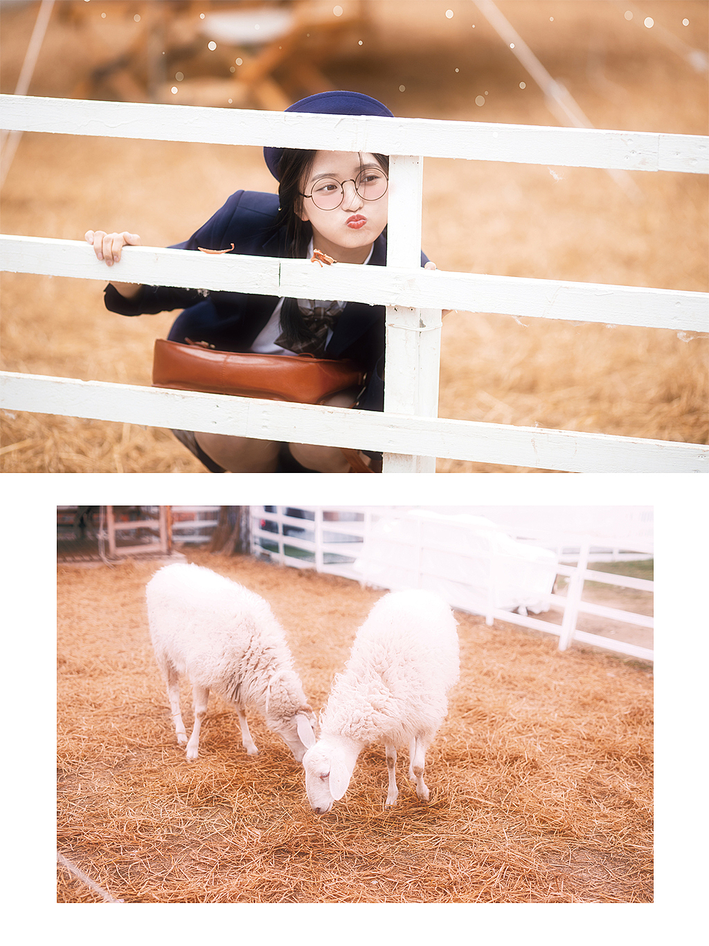 绵羊牧场（图ZMjUwMjg4MzI4） - 人像摄影 - 站酷设计师芥茉在拍照原创素材 - 站酷ZCOOL