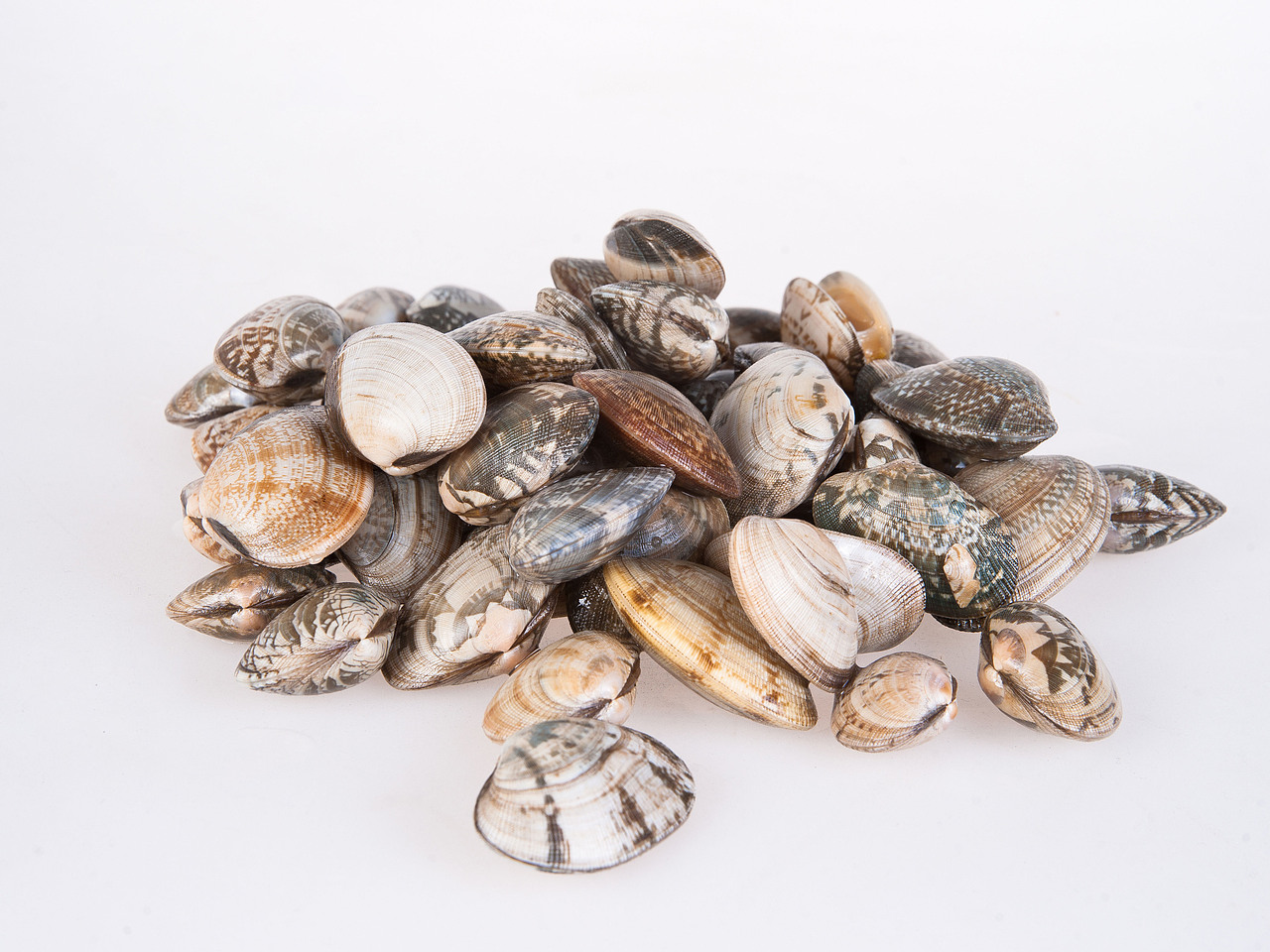 酒店菜谱（图ZOTI2MTgzMg==） - 产品摄影 - 站酷设计师蓝太阳TNT原创素材 - 站酷ZCOOL