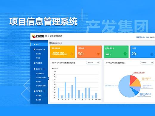 后台项目信息管理
