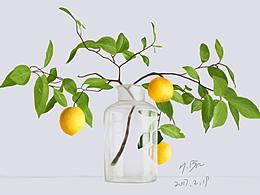 手绘-花草系列