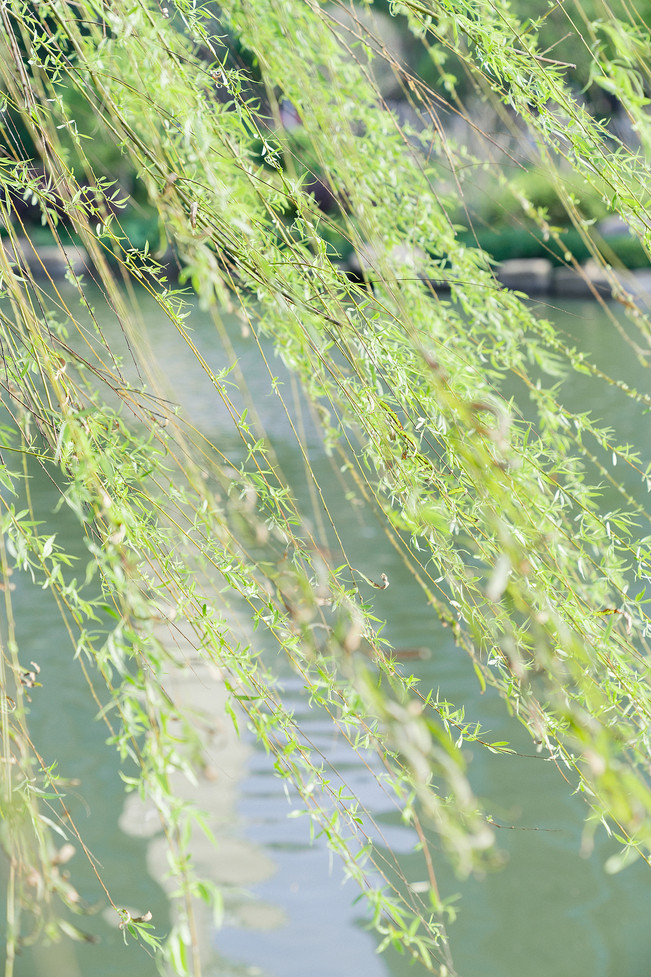 「人像摄影」夏日时光