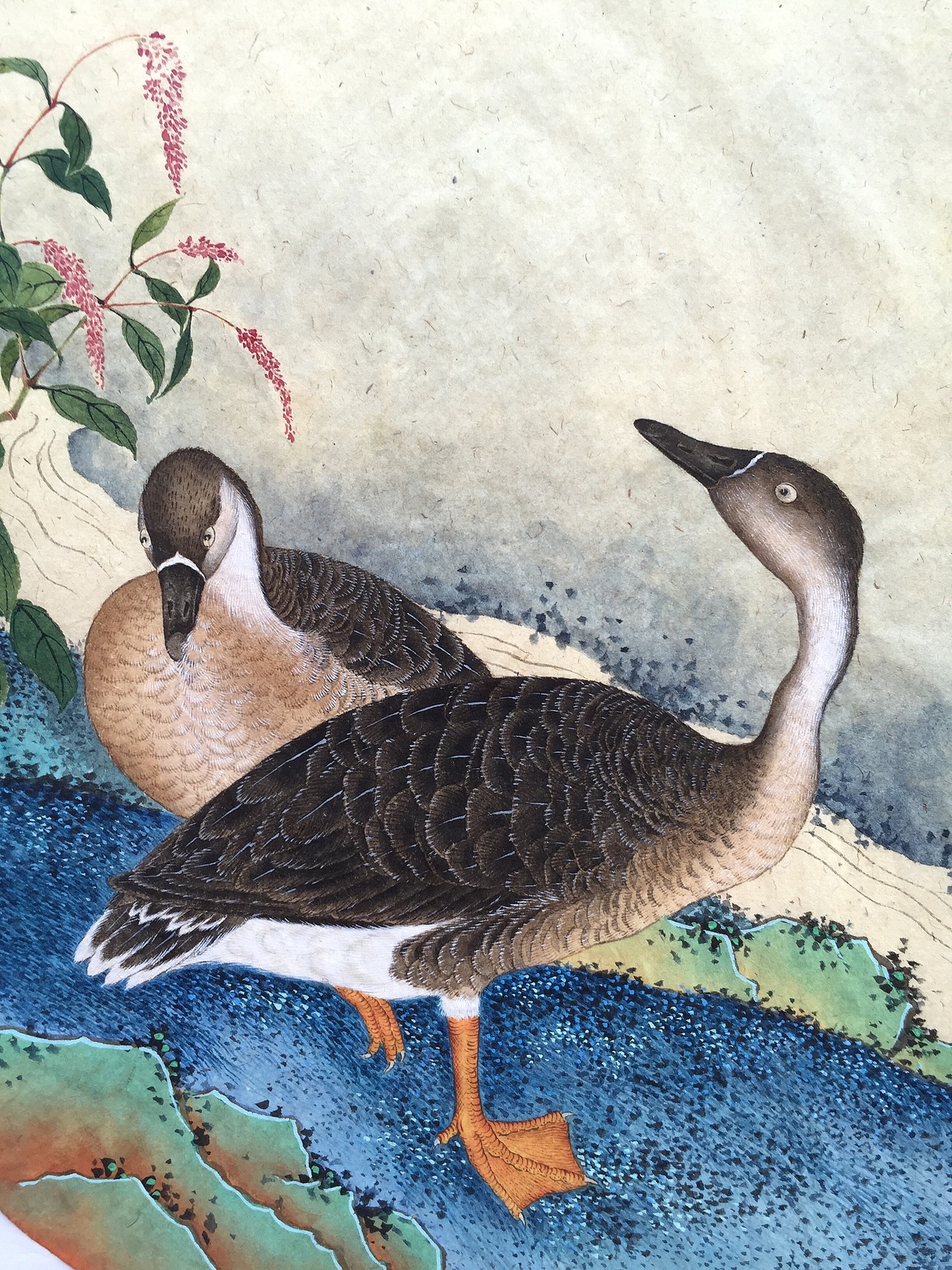 藏君绘《十钗声》工笔重彩花鸟