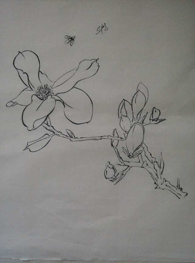 我的国画--花卉