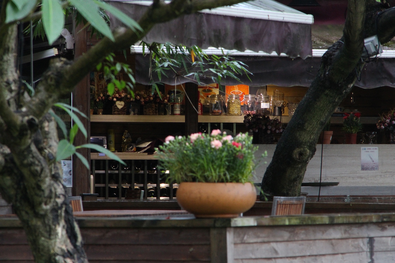 佛山順德三桂村 一次雨中攝影（圖ZMTE3MTk0MzEy） - 風(fēng)光攝影 - 站酷設(shè)計(jì)師Gavinskywalker原創(chuàng)素材 - 站酷ZCOOL