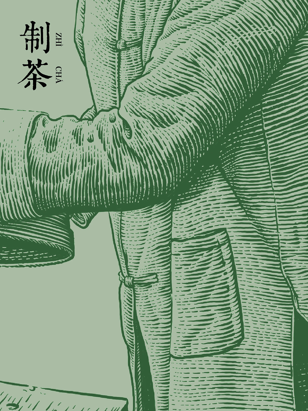 原创插画｜制茶（图ZMjY3NzYxNTUy） - 商业插画 - 站酷设计师花椒的Alex原创素材 - 站酷ZCOOL