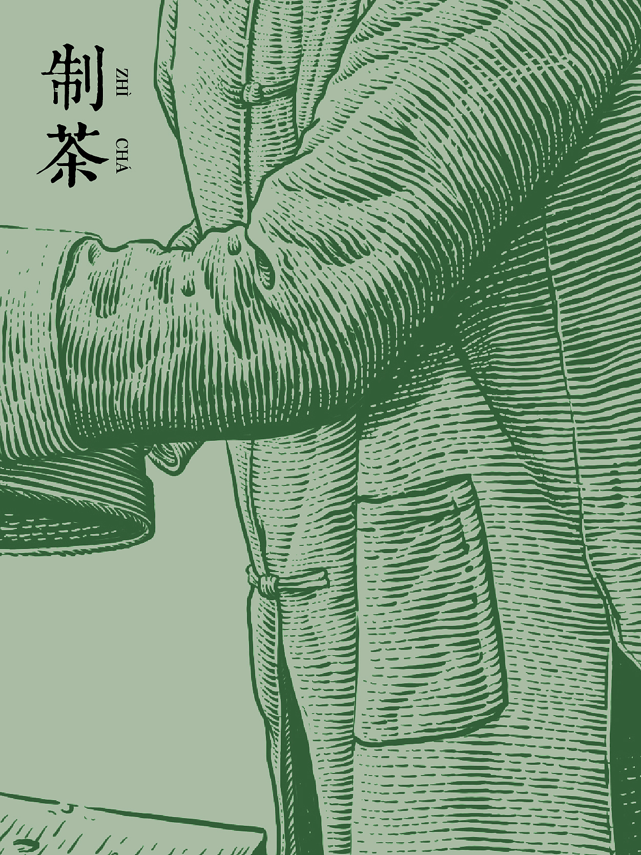 原创插画|制茶