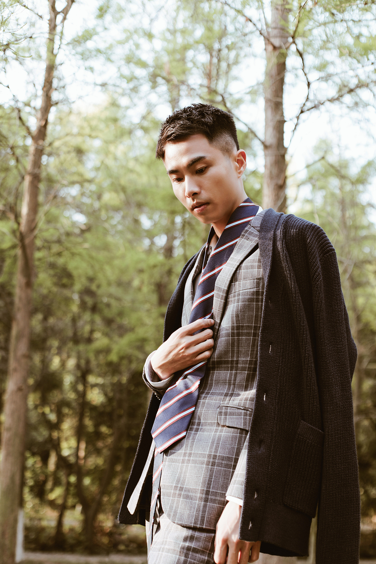 玫瑰与小鹿 ——