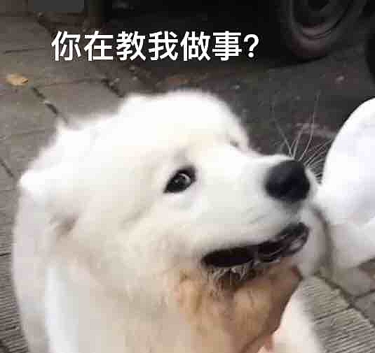 占坑。。（图ZMjQwMDg1NDYw） - 包装 - 站酷设计师执笔夕念原创素材 - 站酷ZCOOL