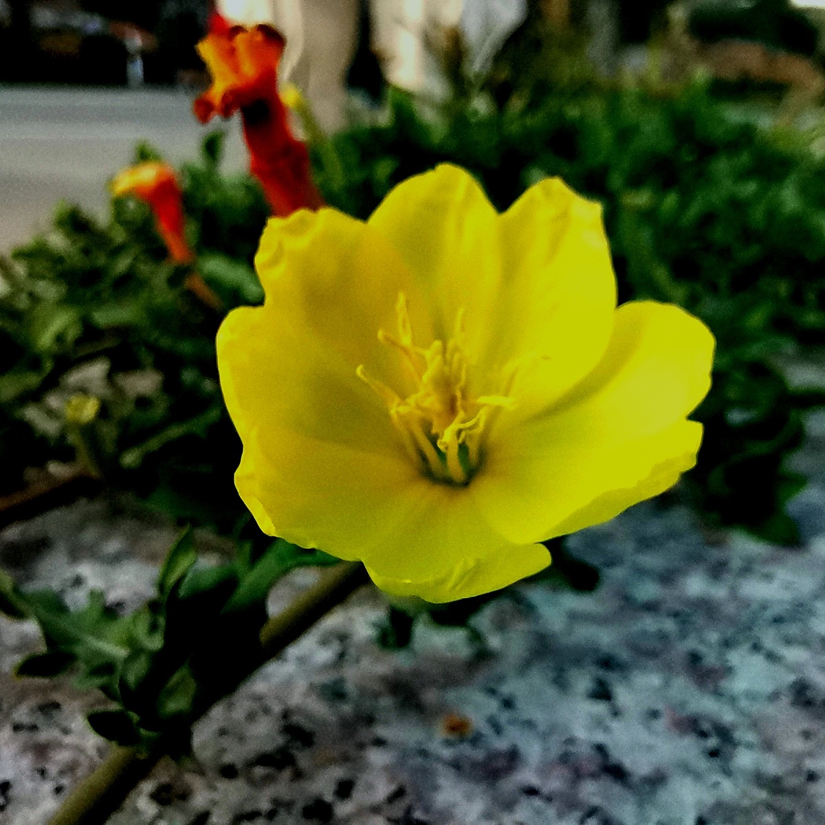 准备好迎接春天吧!