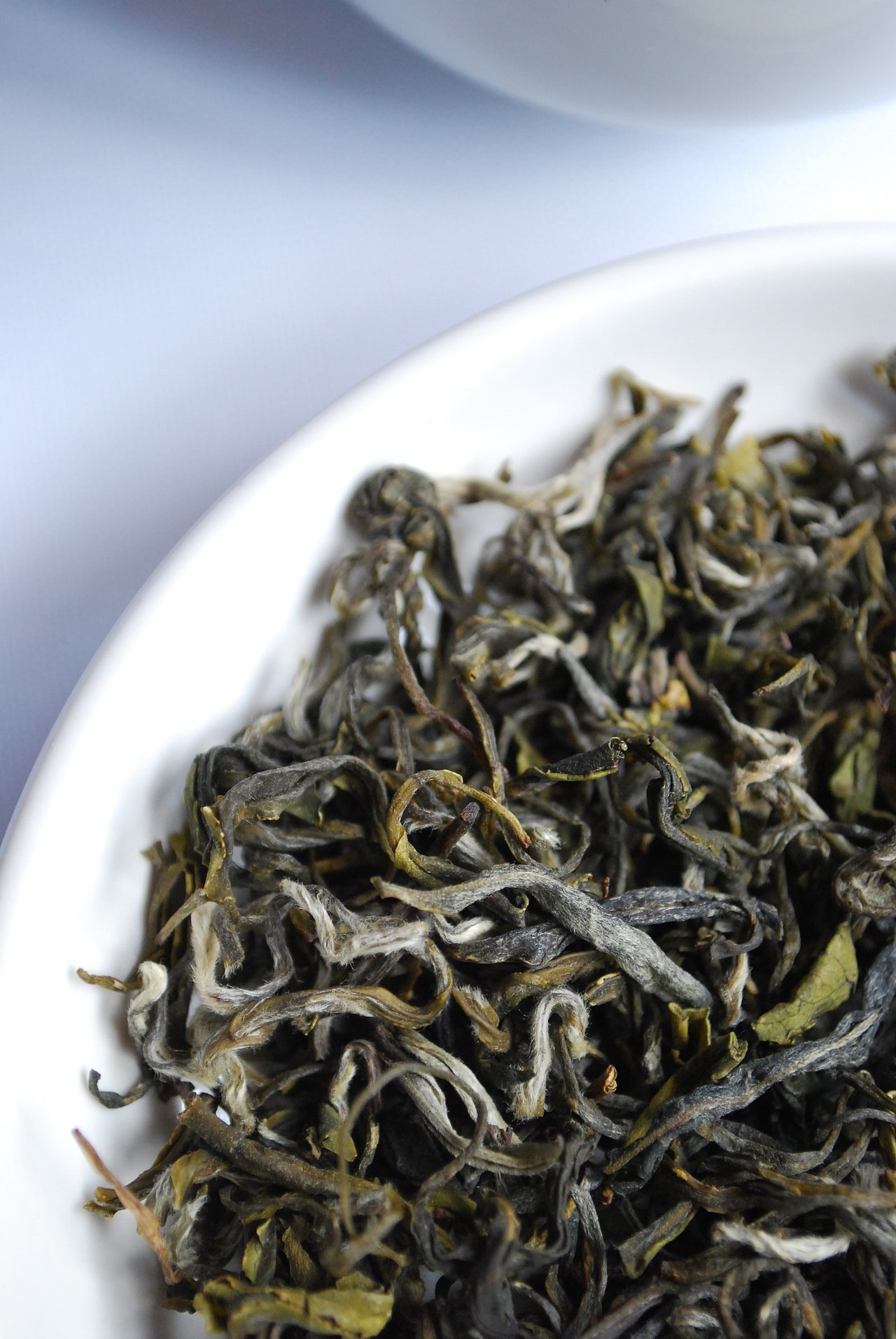 包装 包装设计 茶叶包装 vi vi设计 茶饮品牌 vi LOGO(图ZMjc1NjgxNDMy) - 包装 - 站酷设计师郑昌洪品牌vi包装原创素材 - 站酷ZCOOL