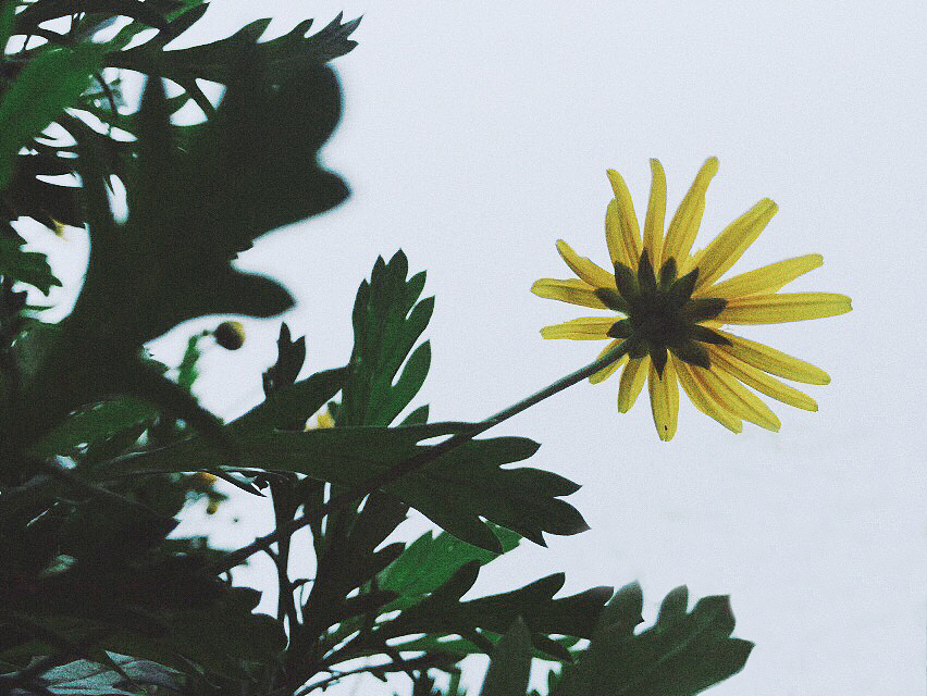 这两张并没有很满意