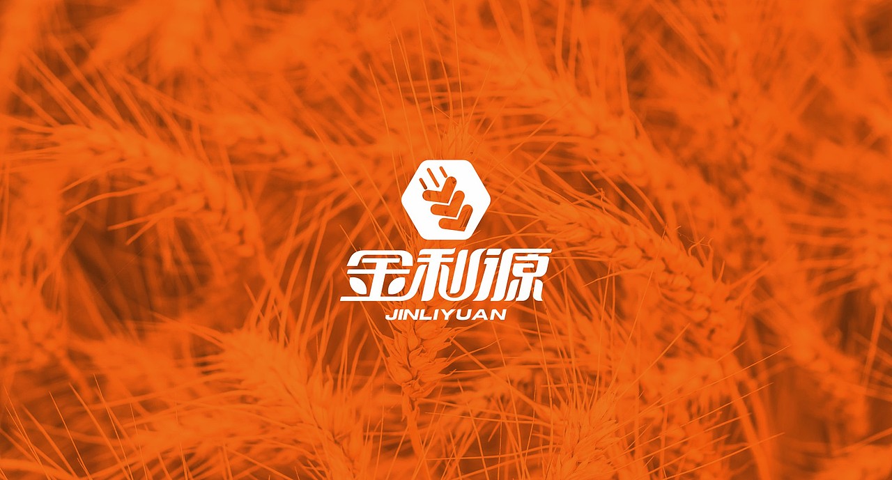 品牌设计-金利源（图ZMTE1OTM2NTg4） - 品牌 - 站酷设计师河洛设计原创素材 - 站酷ZCOOL