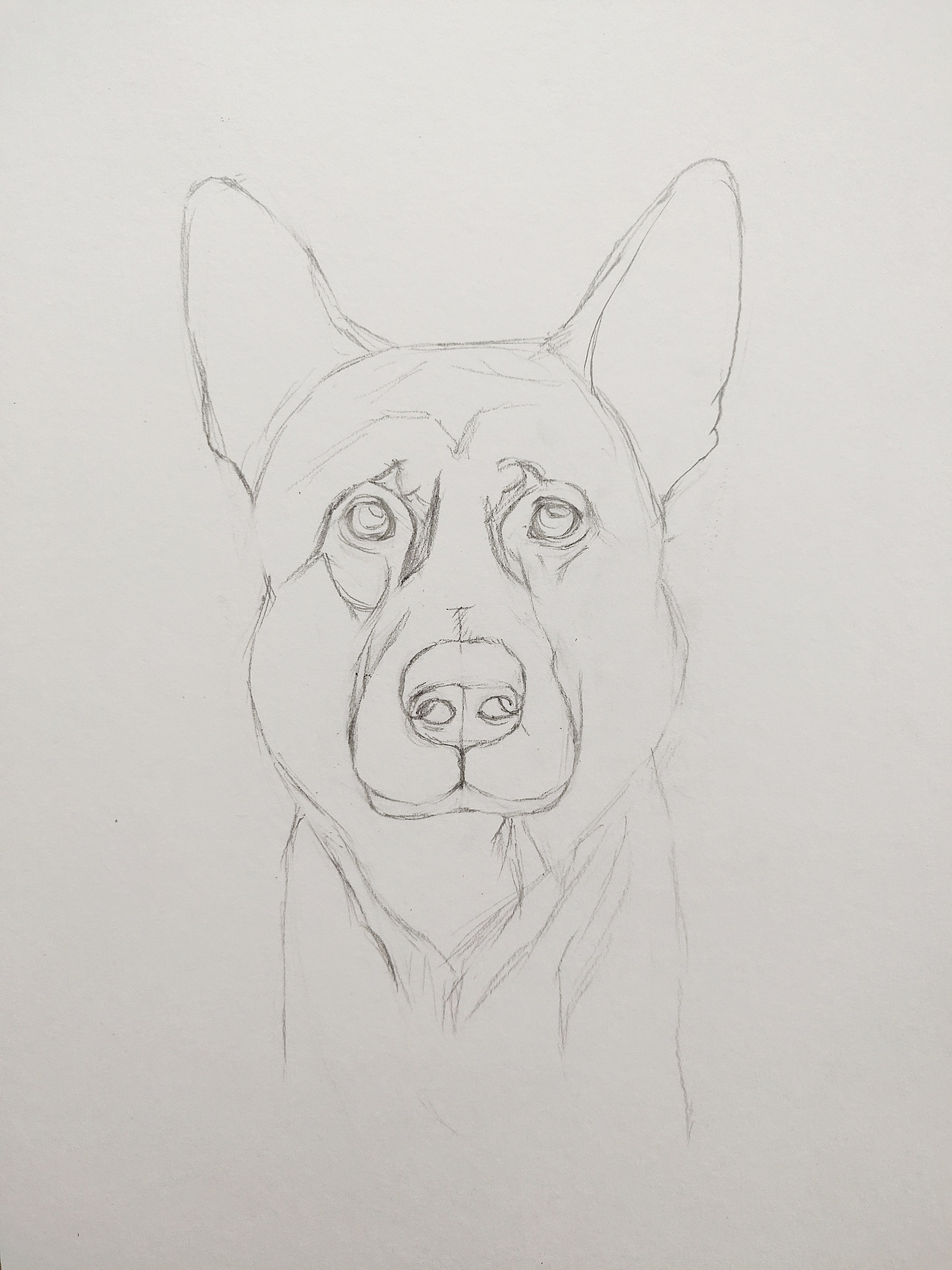 无锡/插画师/4年前/163浏览我是一只斑点