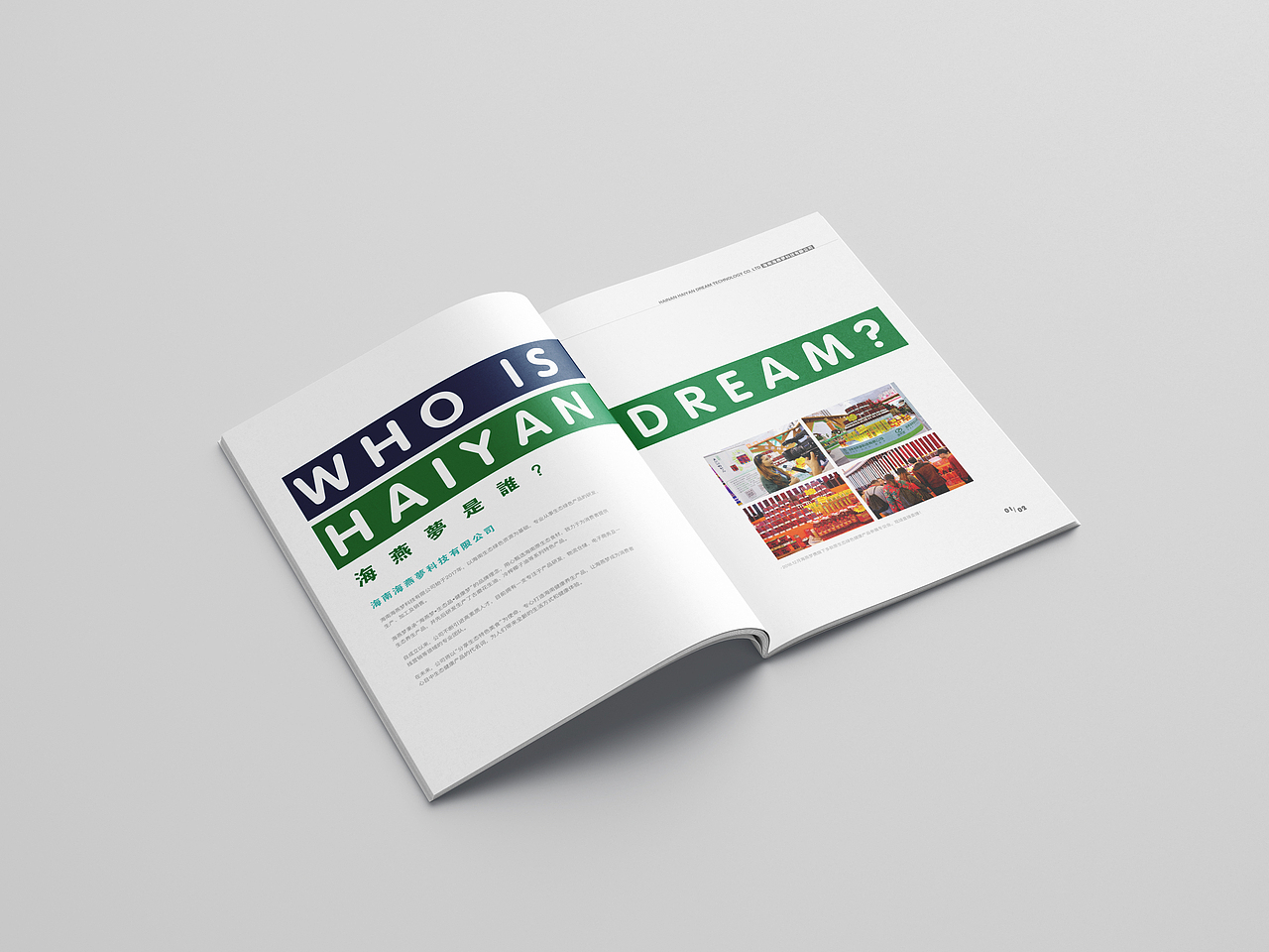 海燕梦 画册（图ZMjAxNDAxMjcy） - 品牌 - 站酷设计师吉米视觉原创素材 - 站酷ZCOOL