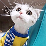 index_test的头像
