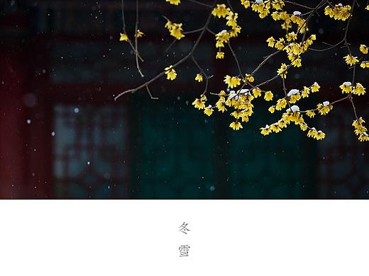 冬雪