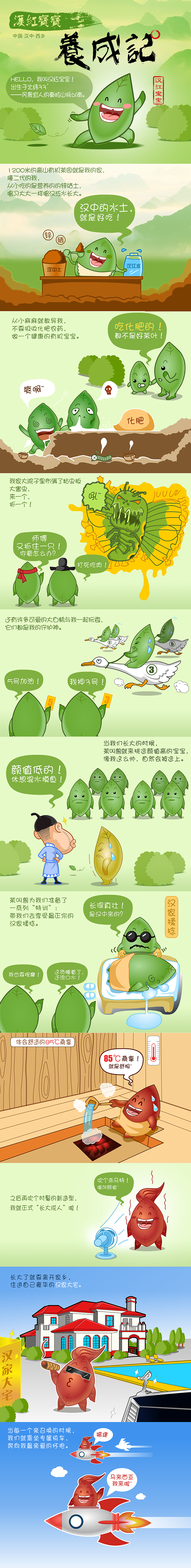 茶叶详情页插画